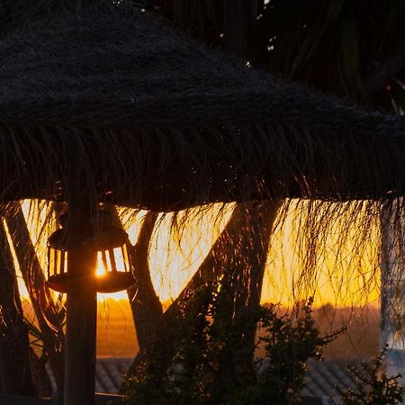 Cortijo Flamingos Apartment ชิกลานา เด ลา ฟรอนเตรา ภายนอก รูปภาพ